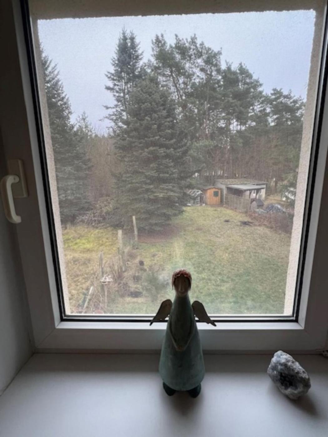Ferienappartements Am See Schorfheide Zewnętrze zdjęcie