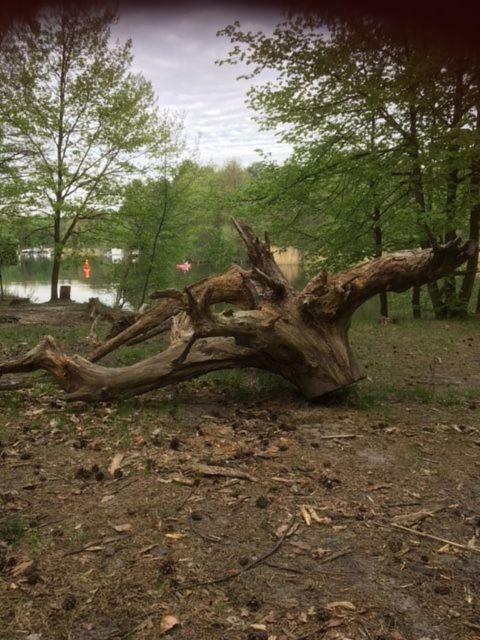 Ferienappartements Am See Schorfheide Zewnętrze zdjęcie